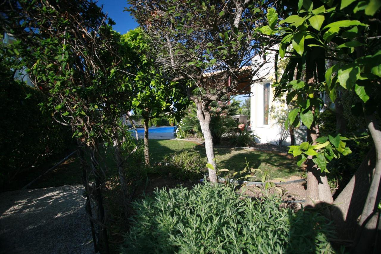 Beach Villa Sofia 尼奥克瑞奥 外观 照片